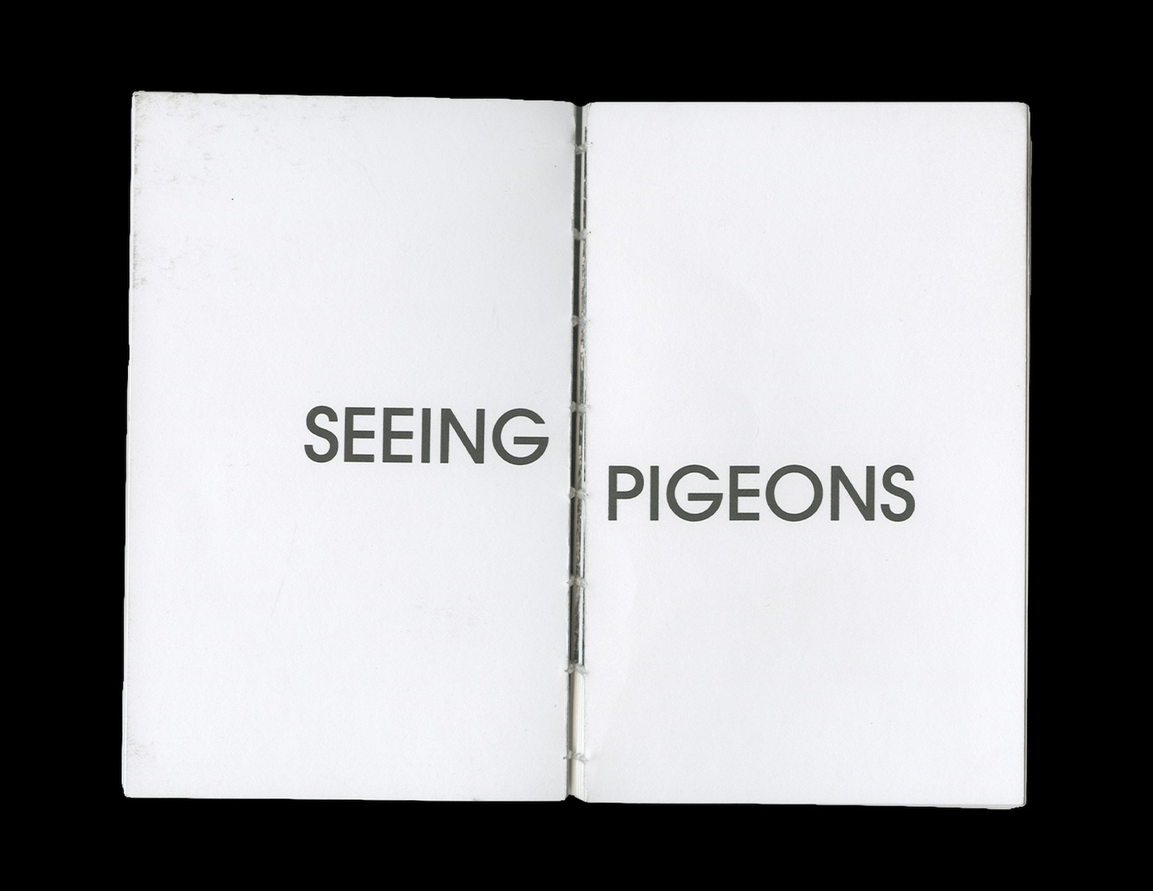Seeing Pigeons